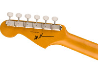 Fender Michael Landau Coma Strat Fender Michael Landau Coma Strat